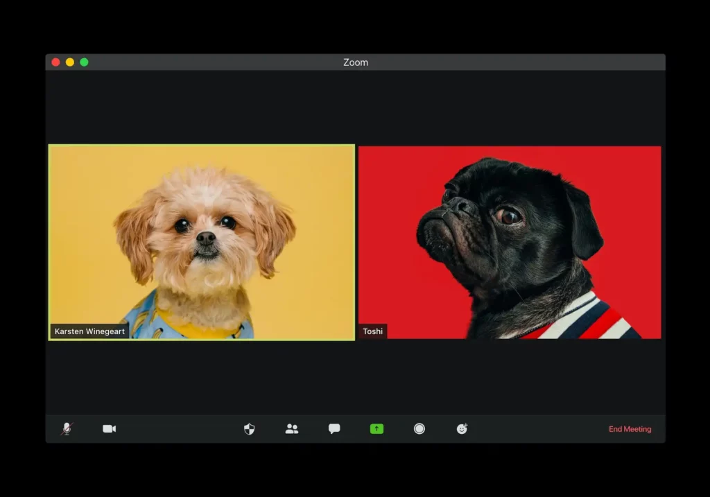 Video Ads of Dogs